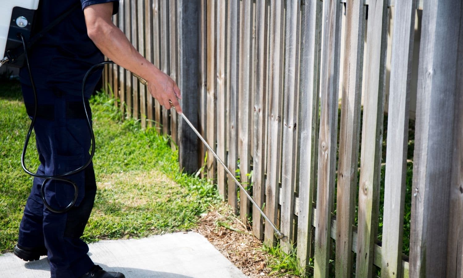 Termite Control service in Absecon, NJ